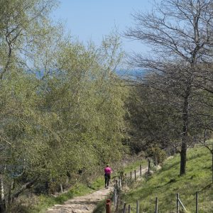 Garate-Santa Barbara Natura 2000 Sarea