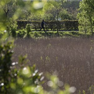 Irita-Astiko hezegunea