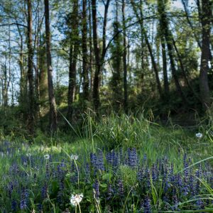 EBU interes-guneak: Tejeriako haltzadia