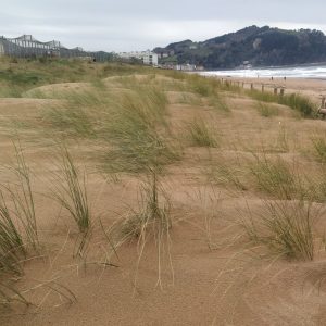 Zarautzeko hondartza dunetatik ikusita