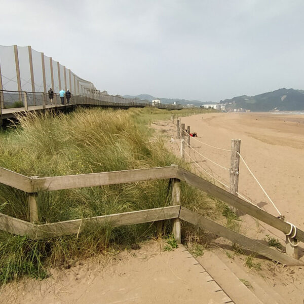 Eraztun-berde-urdina-dunak